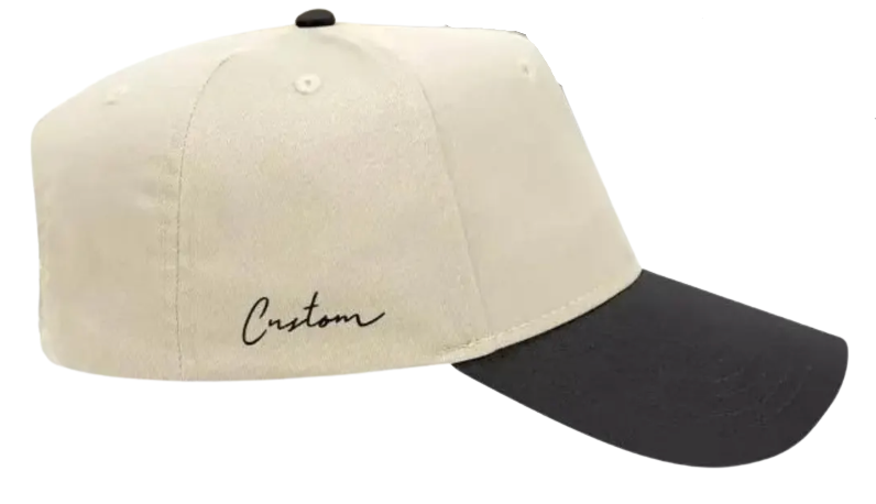 Two-Tone Snapback Hat (Black/Natural)